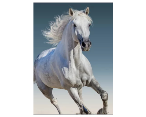 Horses Laste pleed, 100x140 cm